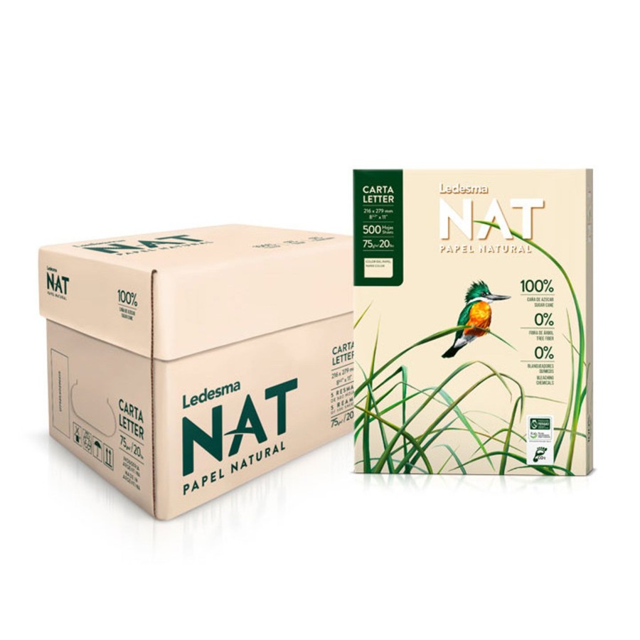 Arts & Crafts Talking Turtle | Natural & Eco-Friendly A4 Paper - 5 Reams 2500 Sheets