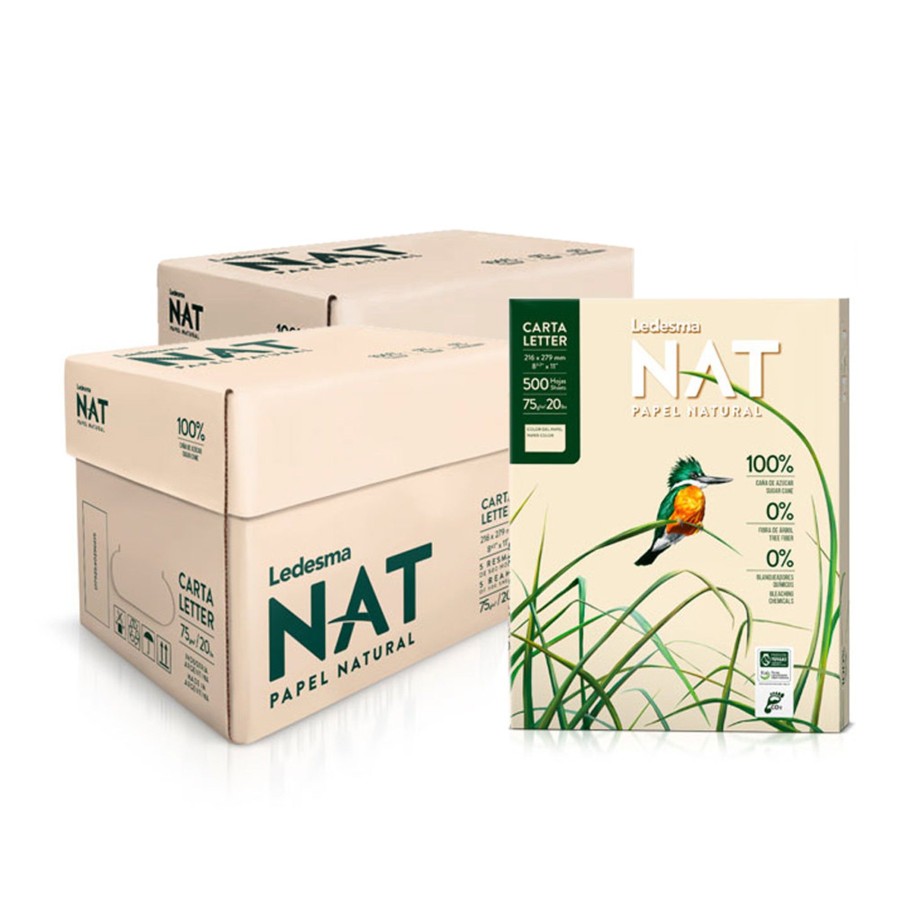 Arts & Crafts Talking Turtle | Natural & Eco-Friendly A4 Paper - 10 Reams 5000 Sheets