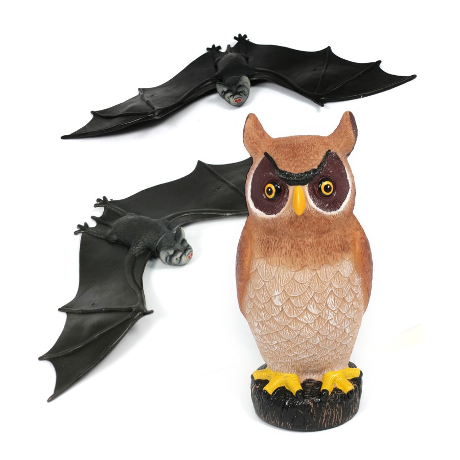 Jumbo Animals Talking Turtle | 3Pc Jumbo Owl & Bat Bundle