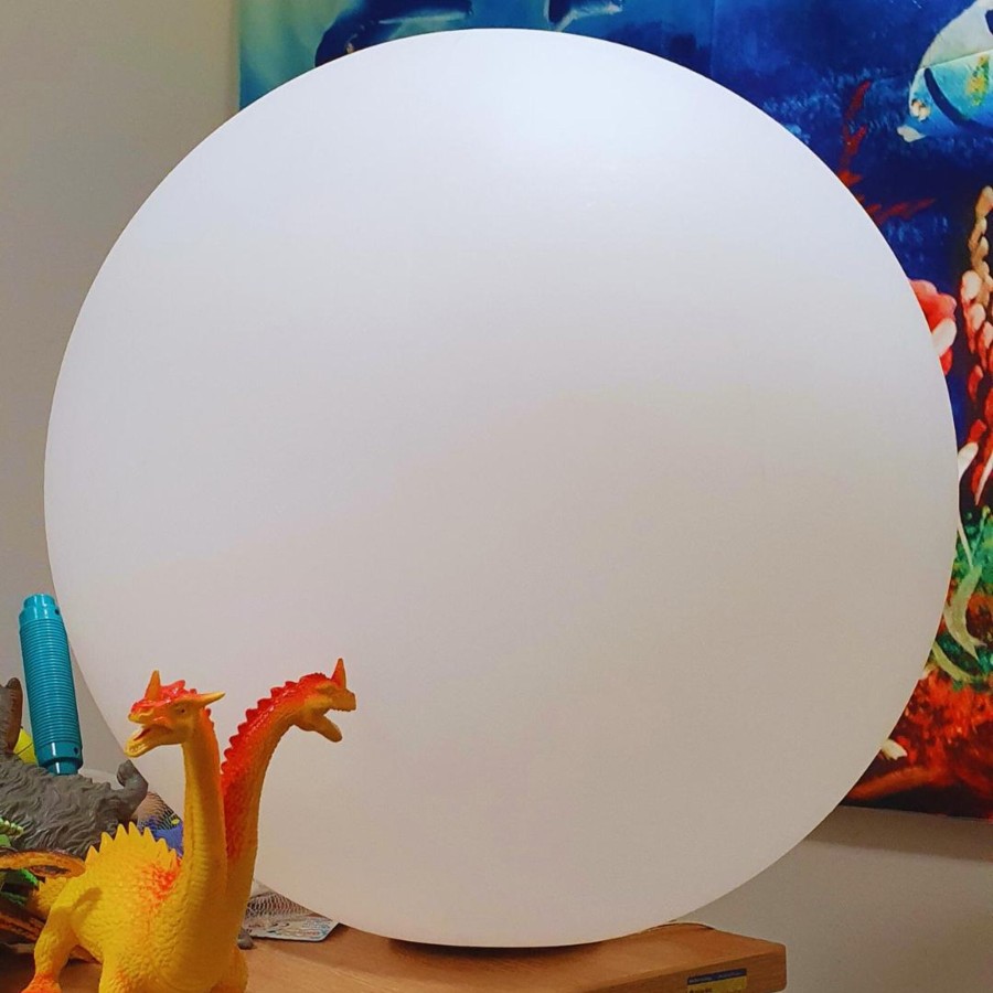 Sensory Room Talking Turtle | Light Up Sensory Mood Ball