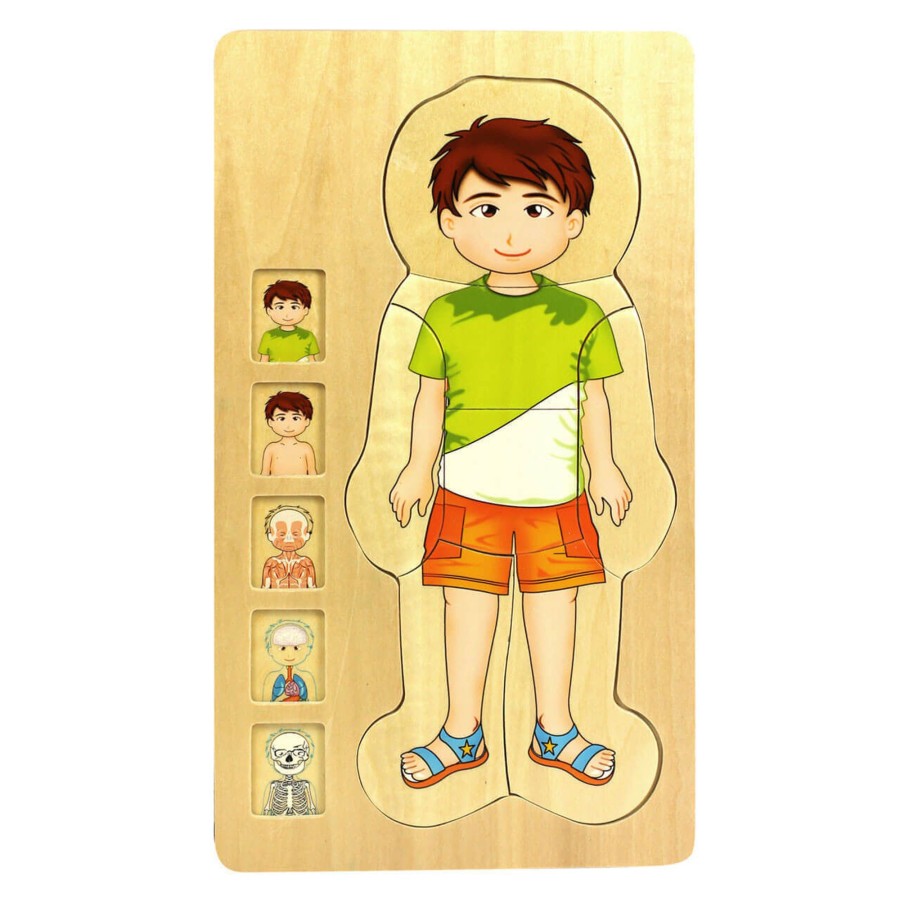 Jigsaws Talking Turtle | Wooden Human Body Boy 5-Layered Jigsaw Puzzle For Fun & Learning