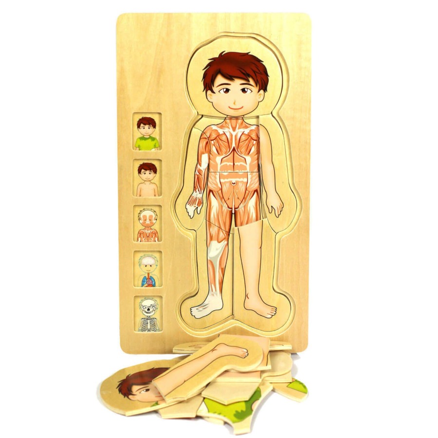 Jigsaws Talking Turtle | Wooden Human Body Boy 5-Layered Jigsaw Puzzle For Fun & Learning